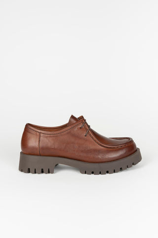 Zapato Lotti marrón